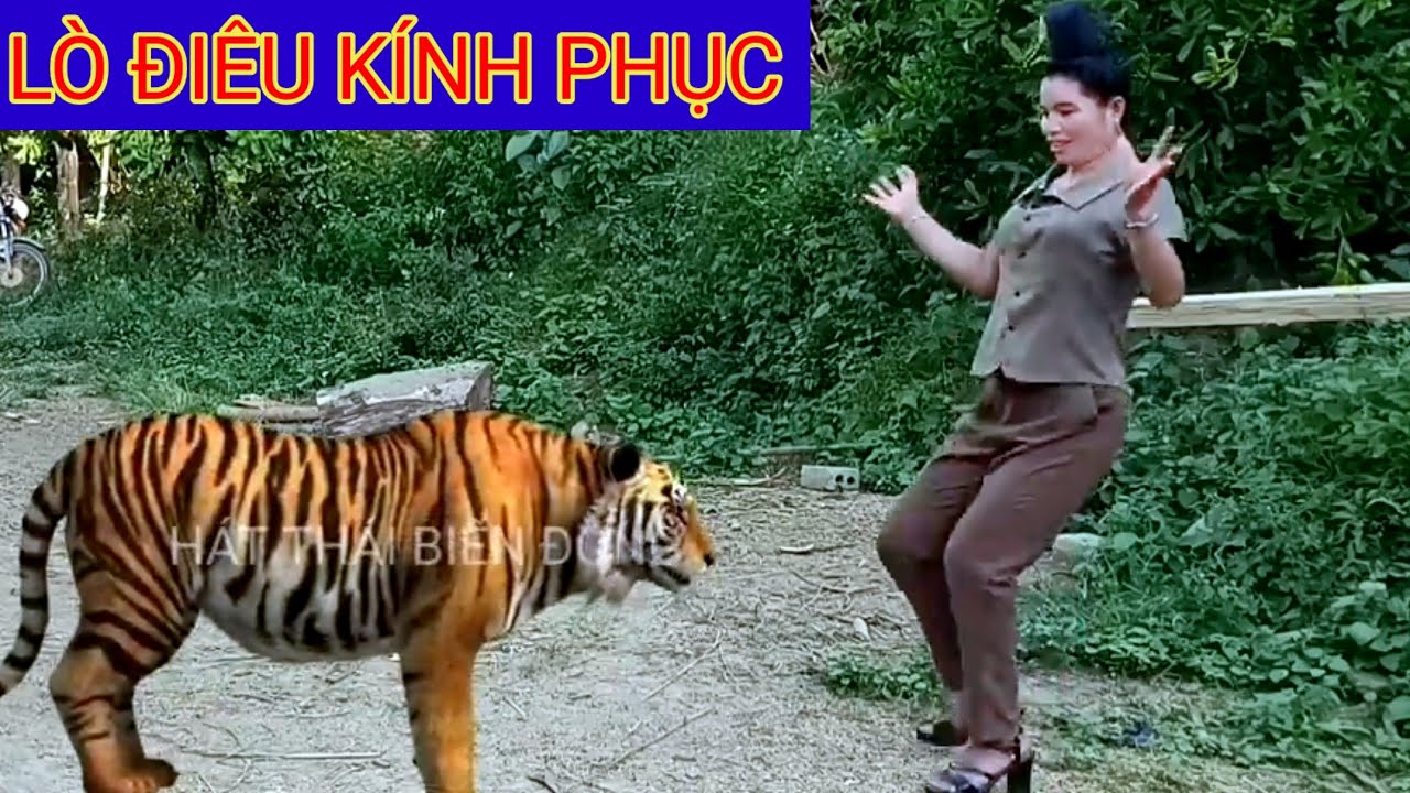 LÒ ĐIÊU NGẠC NHIÊN VỚI MÀN TRÌNH DIỄN CỦA "VIỆT DÂN"