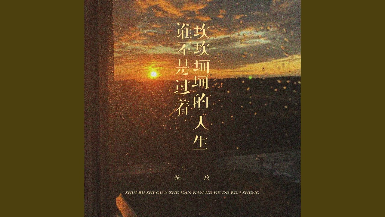 谁不是过着坎坎坷坷的人生 (烟嗓男版)