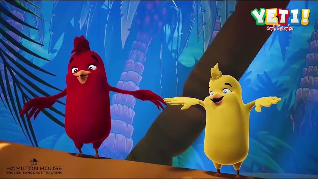 Yeti Alphabet & Starter cover promo video