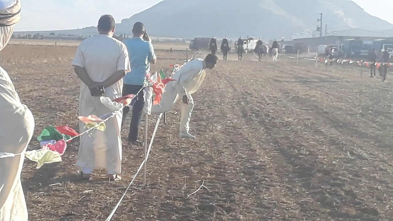 فرسان جمعية نواصي الخير بازر سكرة  العلمة