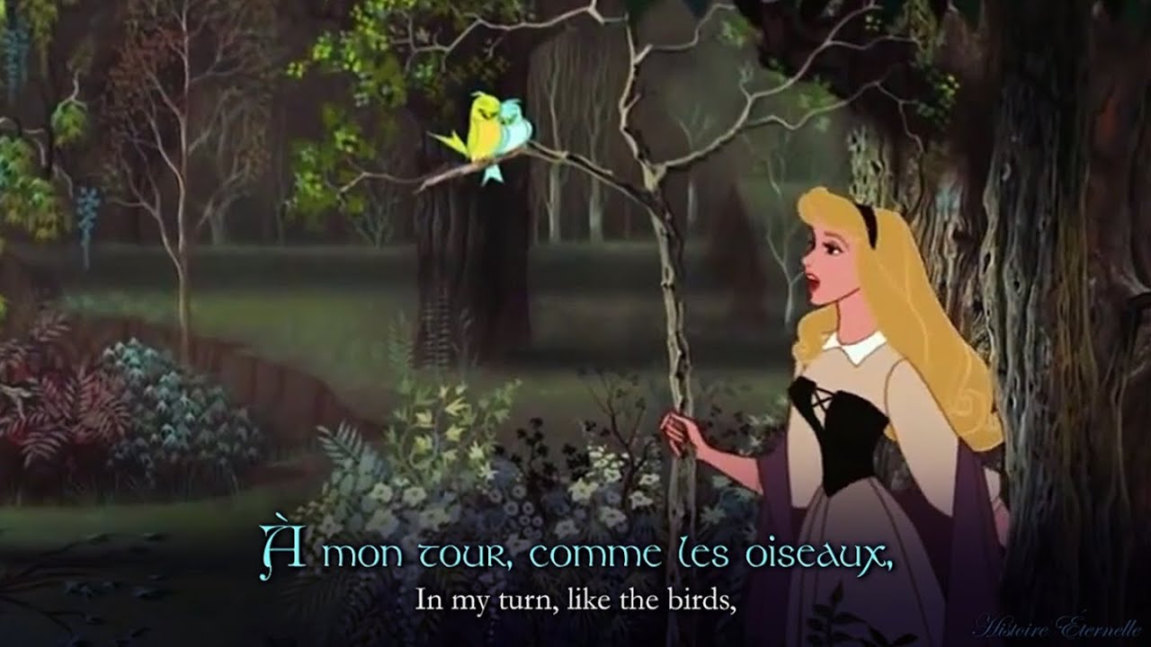 Je Voudrais | I Wonder (French) (lyrics + trans)