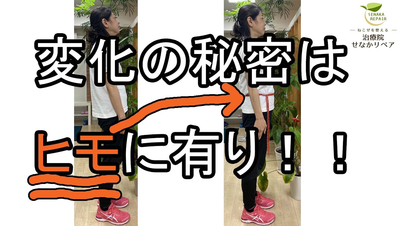 【巻くだけってホント？】ヒモトレ効果を体験してみた！【せなリペch.】