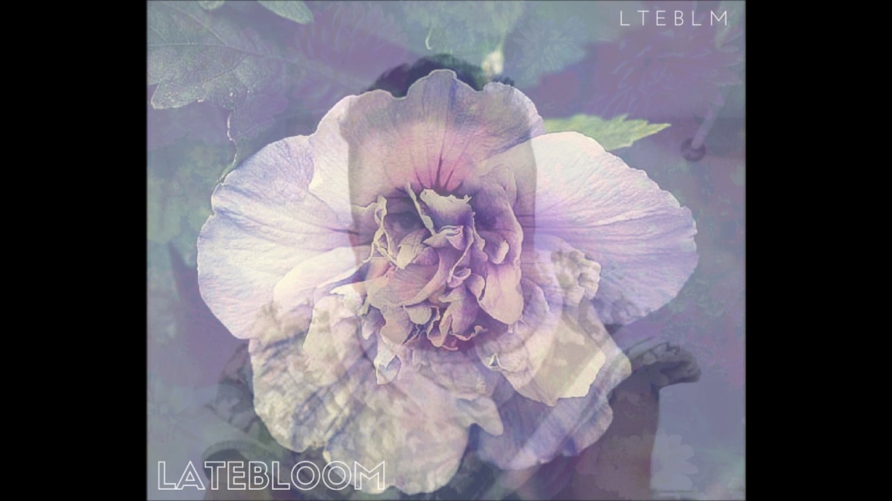LTEBLM -