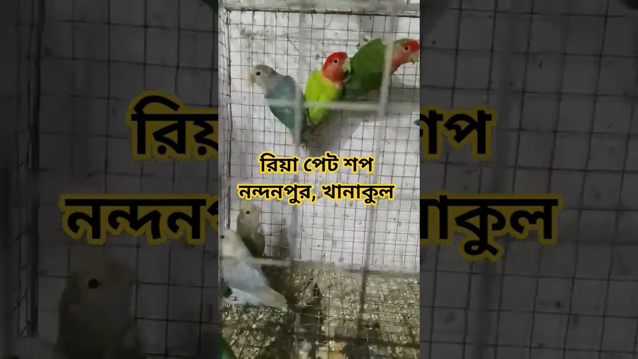 #riyapetshop