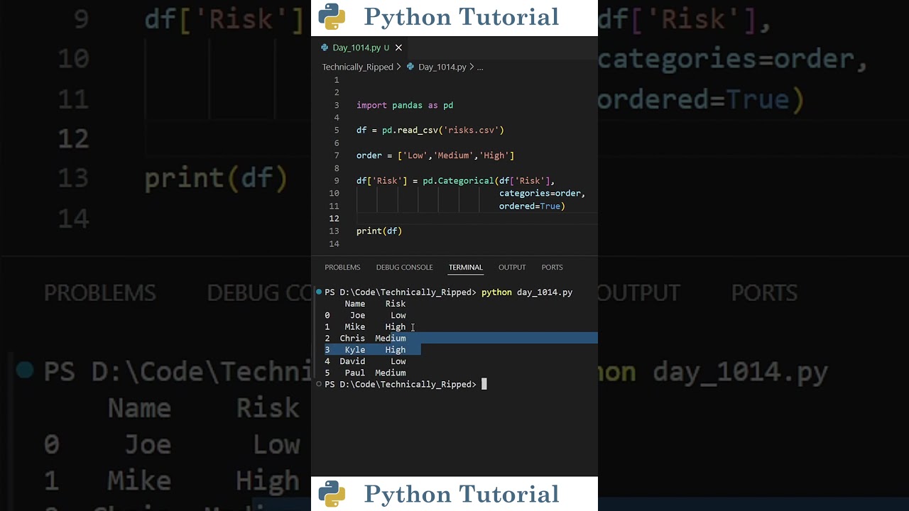 Переименование категориальных значений в Pandas | Учебное пособие по Python
