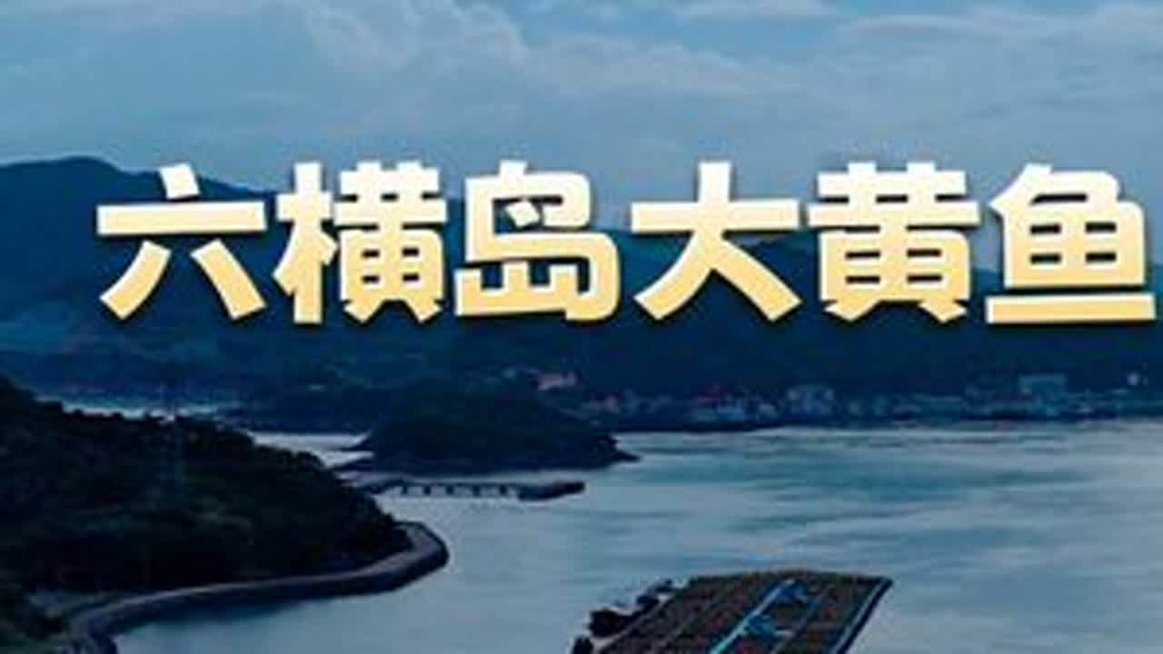 六横岛大黄鱼 你见过会跳舞的鱼吗？#大黄鱼 #生态 #美食拍摄 #好物安利 #海洋牧场