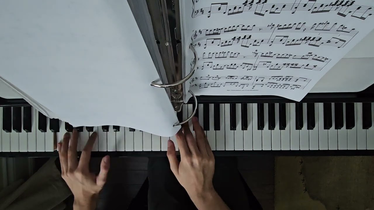 No More What Ifs (Persona 5 Royal) piano