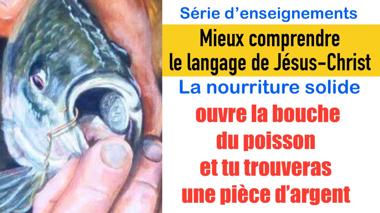 Ouvre la bouche du poisson et retire l’argent - Nourriture solide. Fr Armando 
