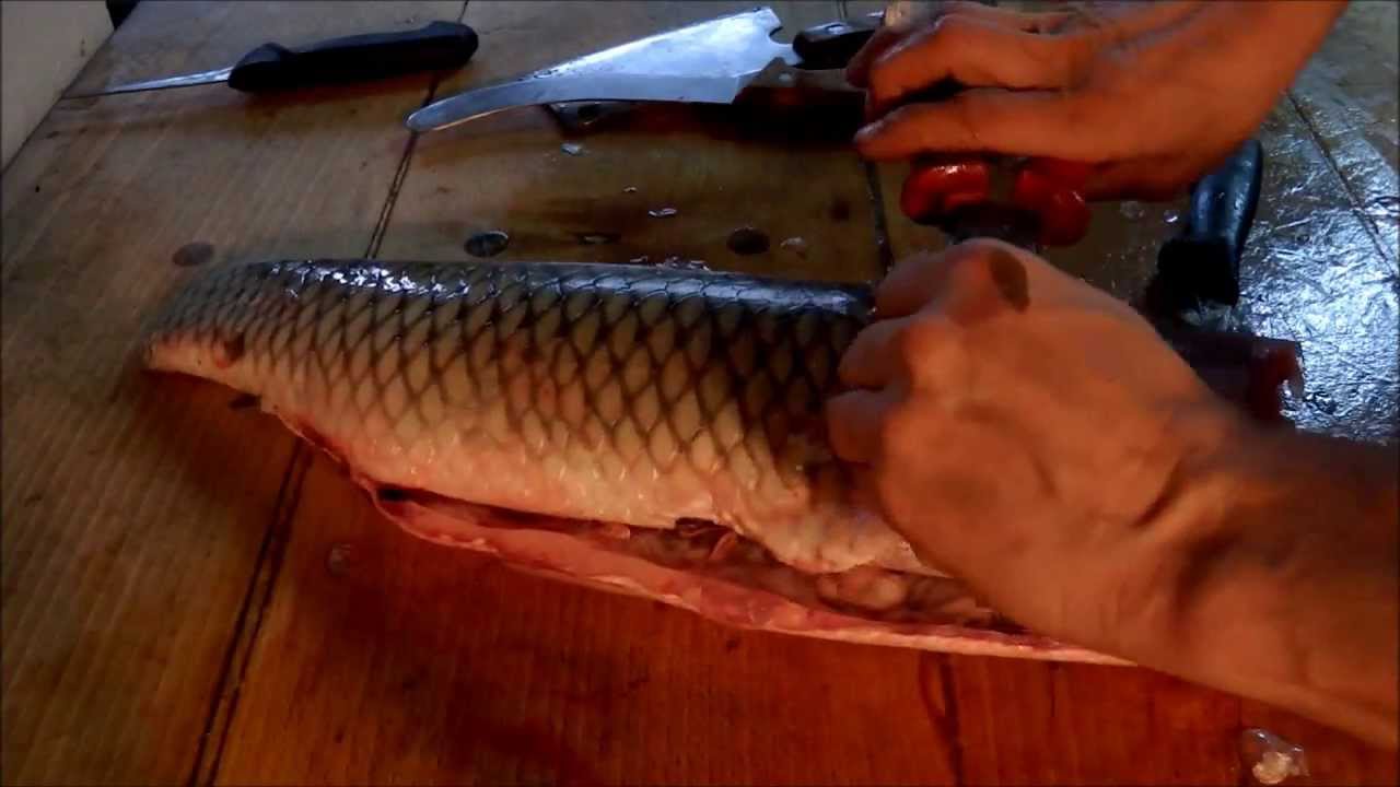 Przygotowanie ryby - Jak ściągnąć skórę z  Amura  . Preparing the fish