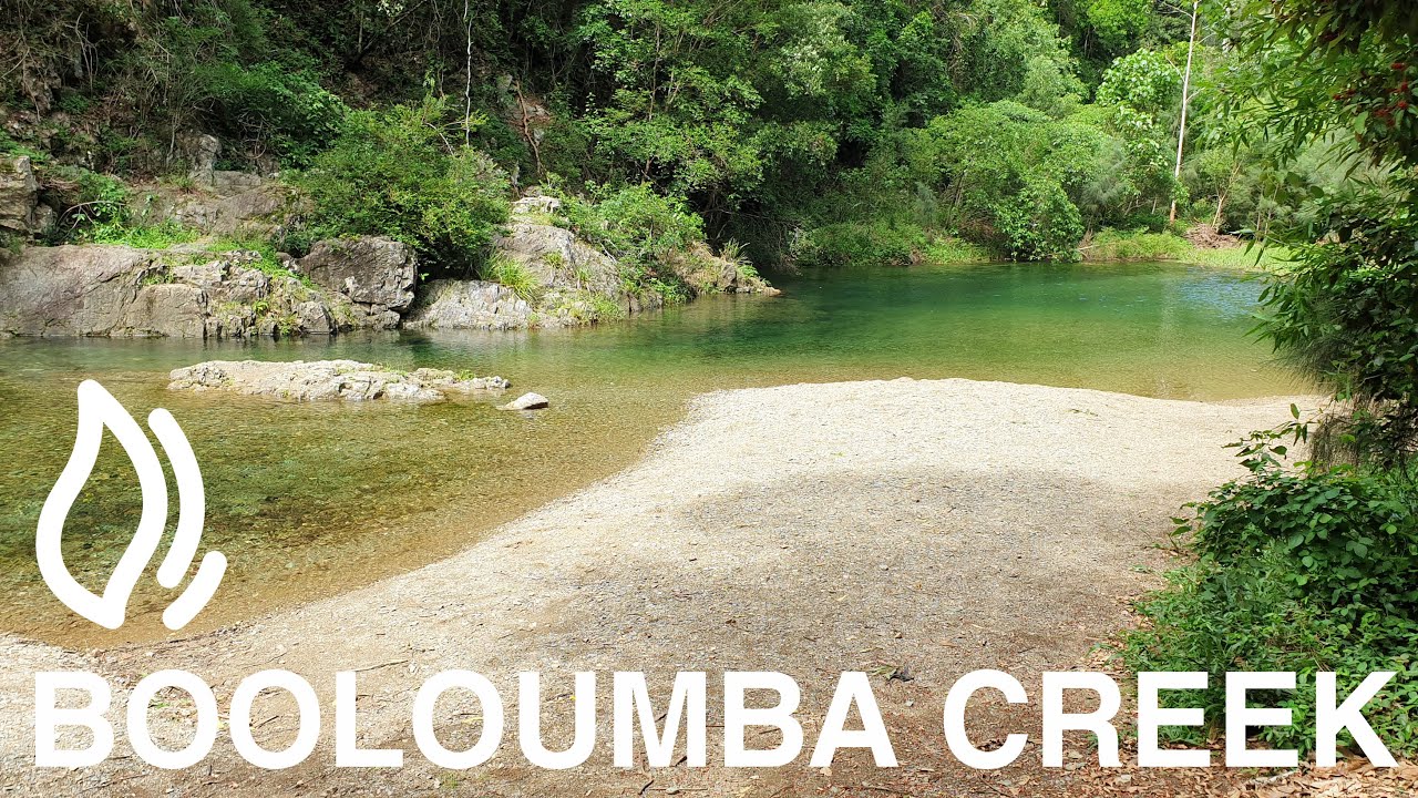 Booloumba Creek Camping Areas 1,2 & 3 - Conondale National Park, Qld