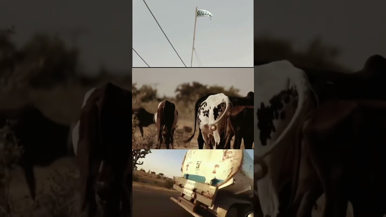 Visit Sokoto in Nigeria. 