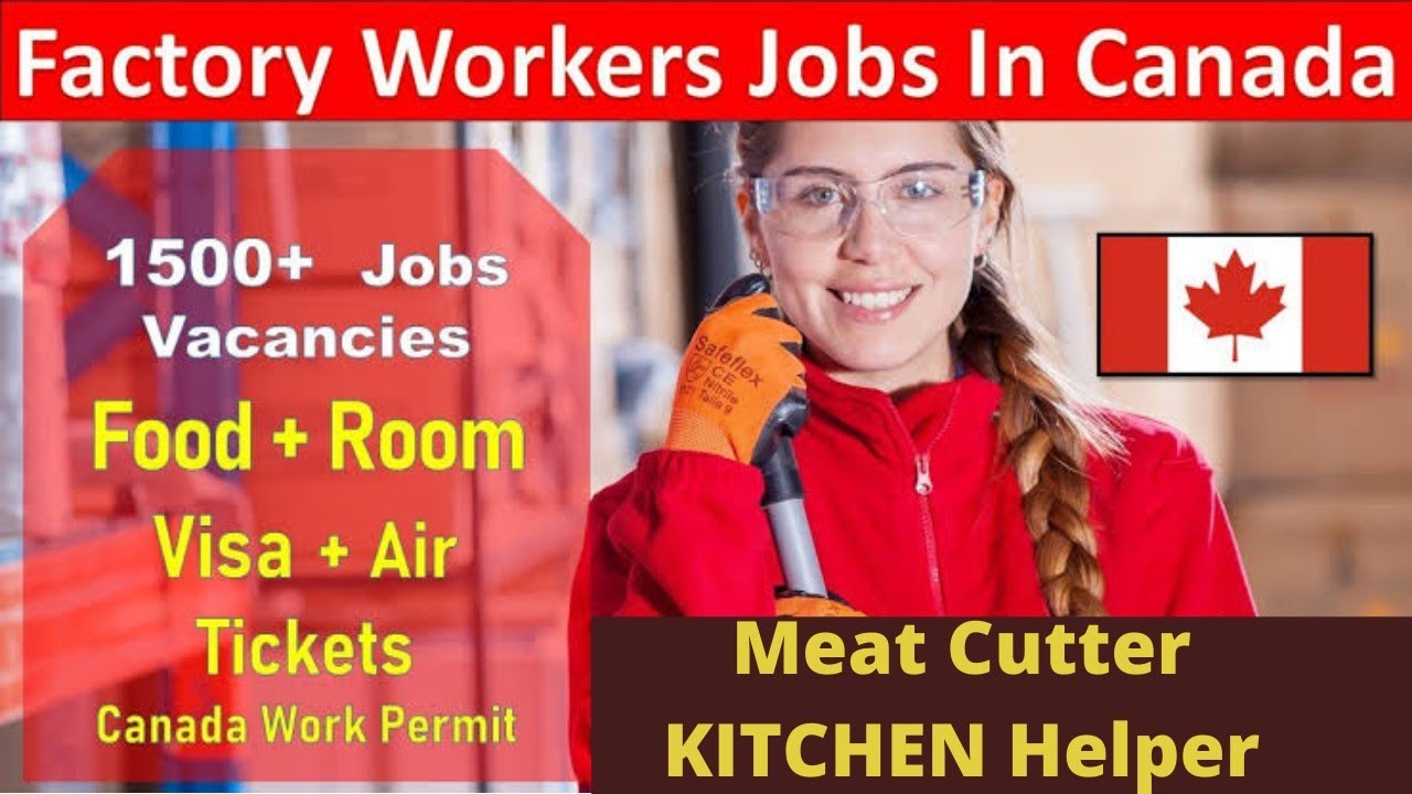 Salary 25$ Per hour l Meat cutter/ Farm workers jobs in Canada🇨🇦🇨🇦 l 8th pass can apply l urgent