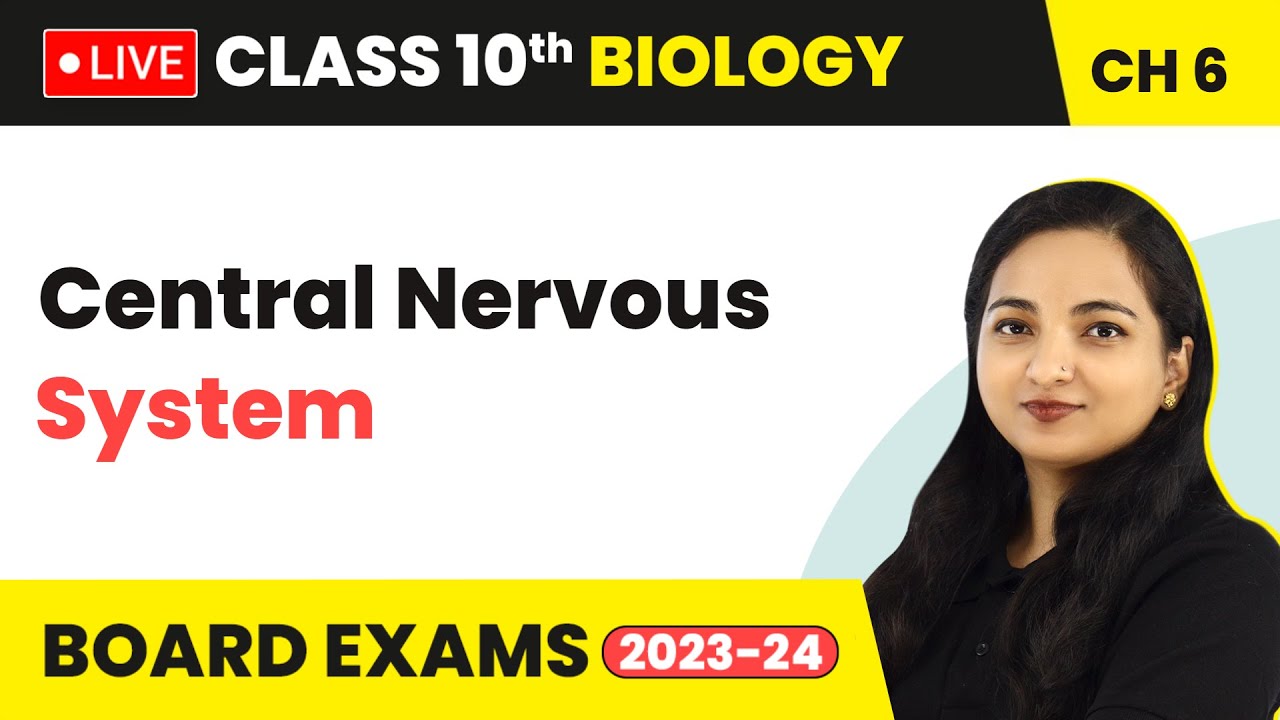Central Nervous System - Control and Coordination | Class 10 Biology Chapter 6 (LIVE)