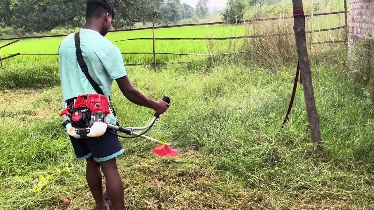 STIHL FS 230 Brushcutter |STIHL Farming Range | Landscaping