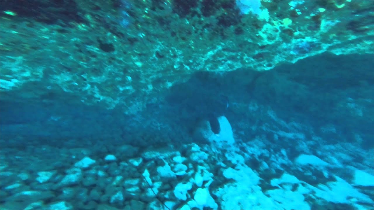 Spearfishing Big Island, Hawaii Mu, Moana Kali, Tako, Uku