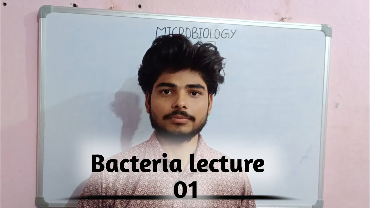 Bacteria Definition 🤔🤔ll 