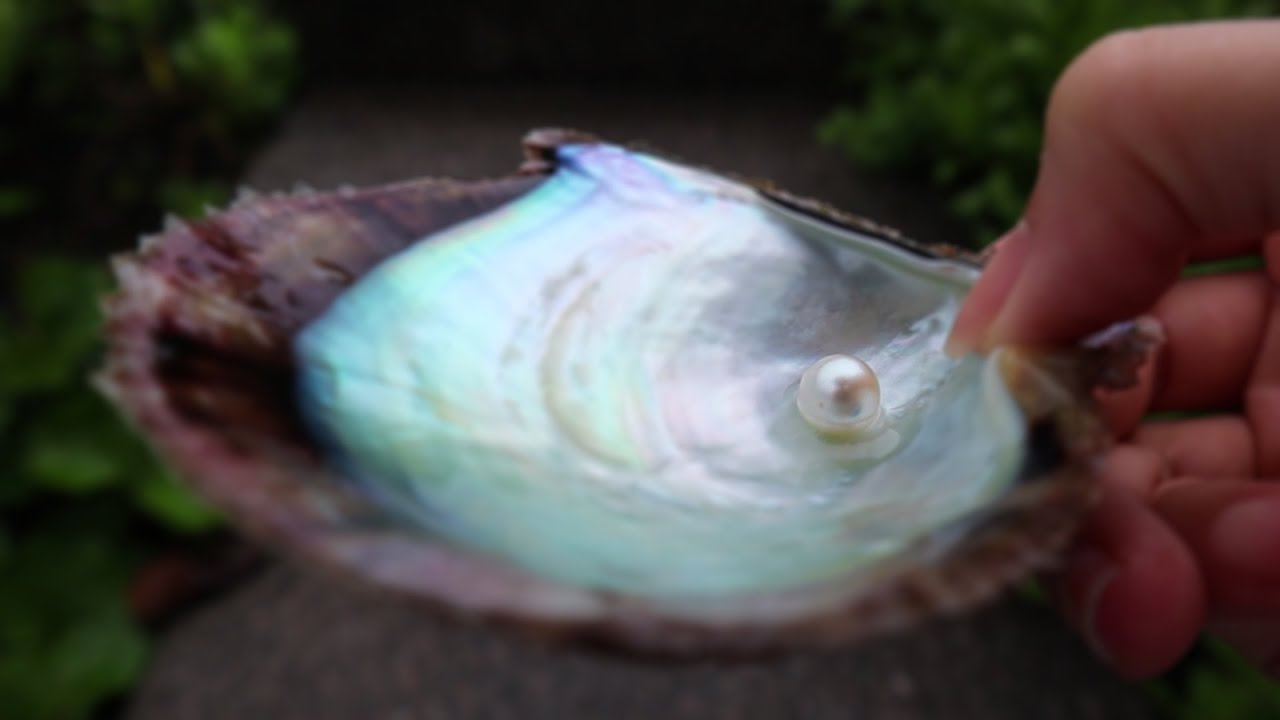 Town of Pearls