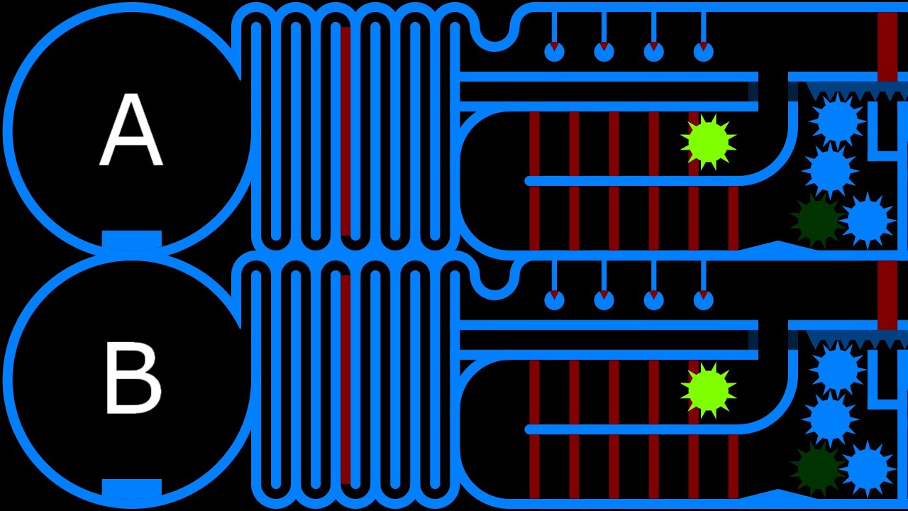 Attach the Gear - Marble Race (Team) in Algodoo