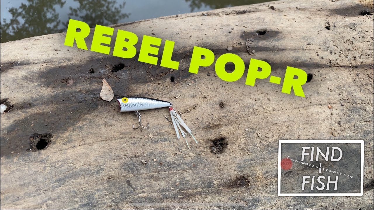 This Rebel Pop-R Was Easy Pickens!