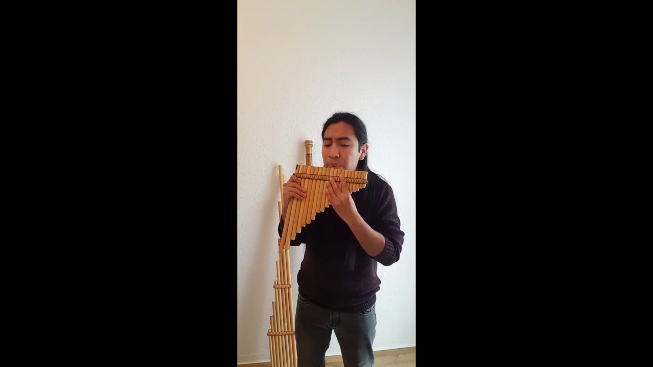 Song of ocarina - Panflute/Zampoña