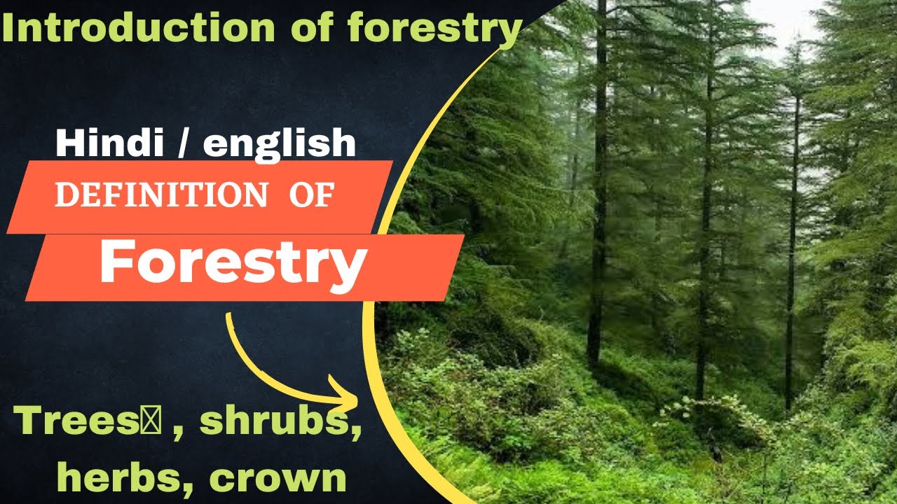 Definition of forestry || introduction of forestry||