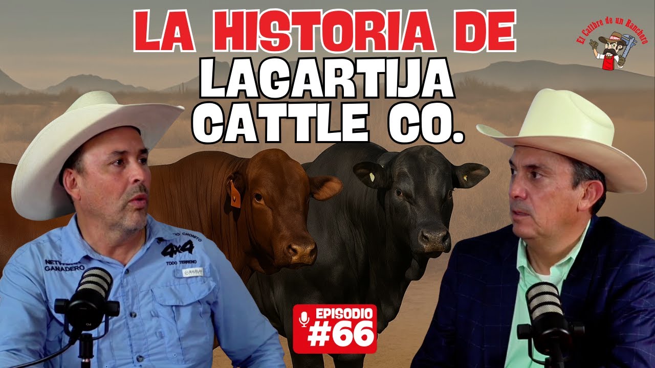 La Lagartija Cattle Co: 10 Años de Genética Ganadera con Propósito