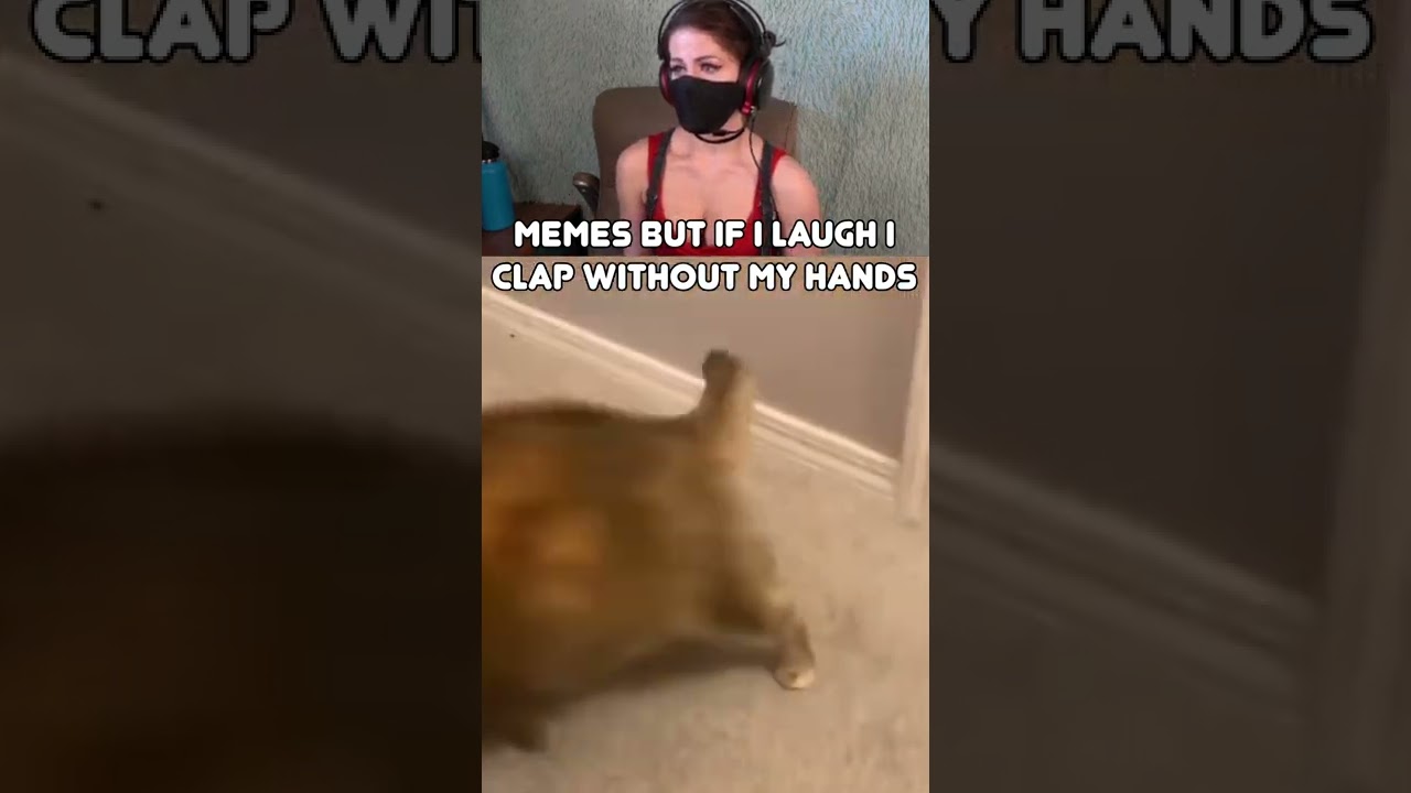 if I laugh I clap with my pt carlita #memes  #shorts