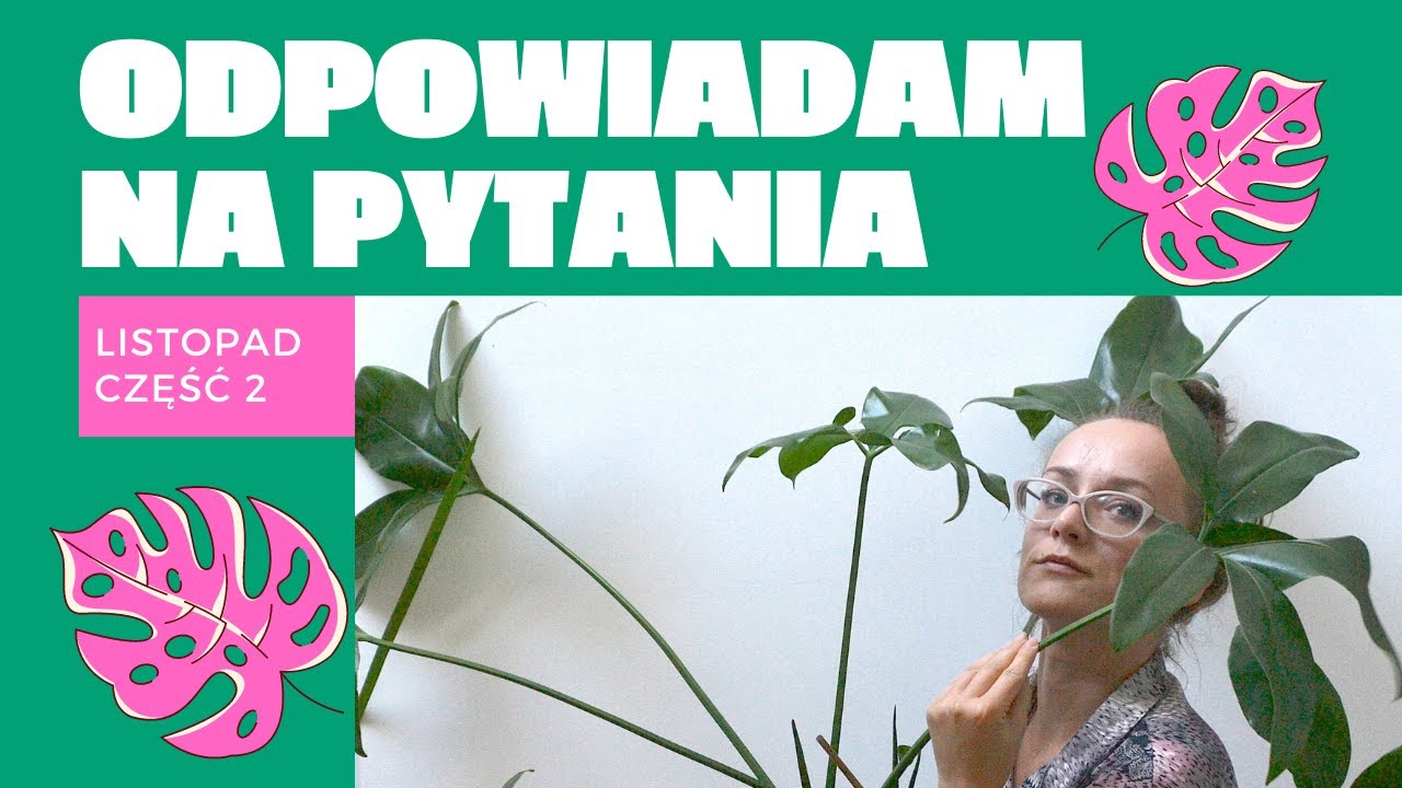 Odpowiadam na PYTANIA widzów🌱 Roślinne Problemy🌱  Listopad 2020 CZĘŚĆ 2