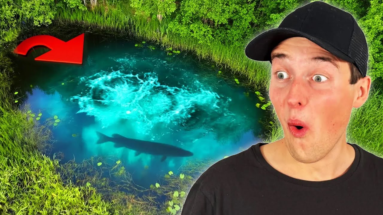 KRANKE FISCHE IN SELTENER UNTERWASSERQUELLE!