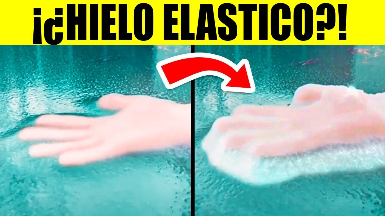 Momentos De Uno En Un Millón De La Naturaleza Captados En Cámara