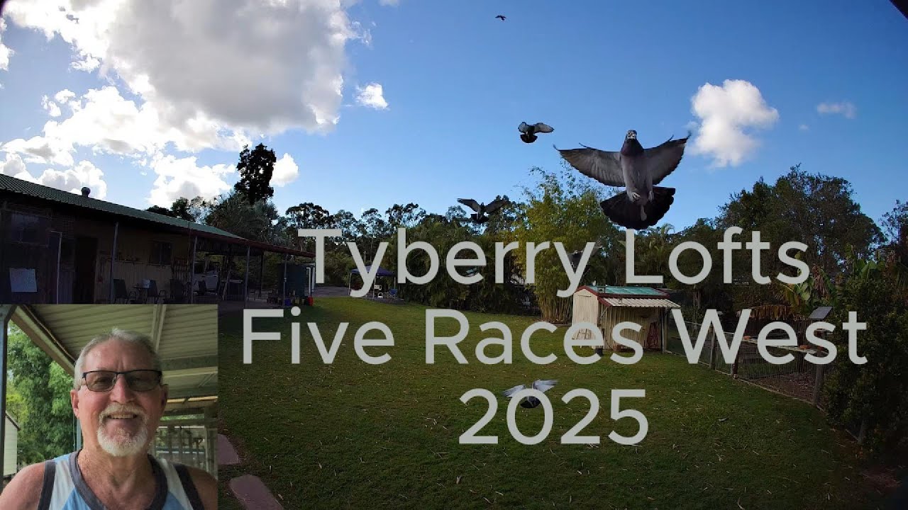 Five Races West 2025