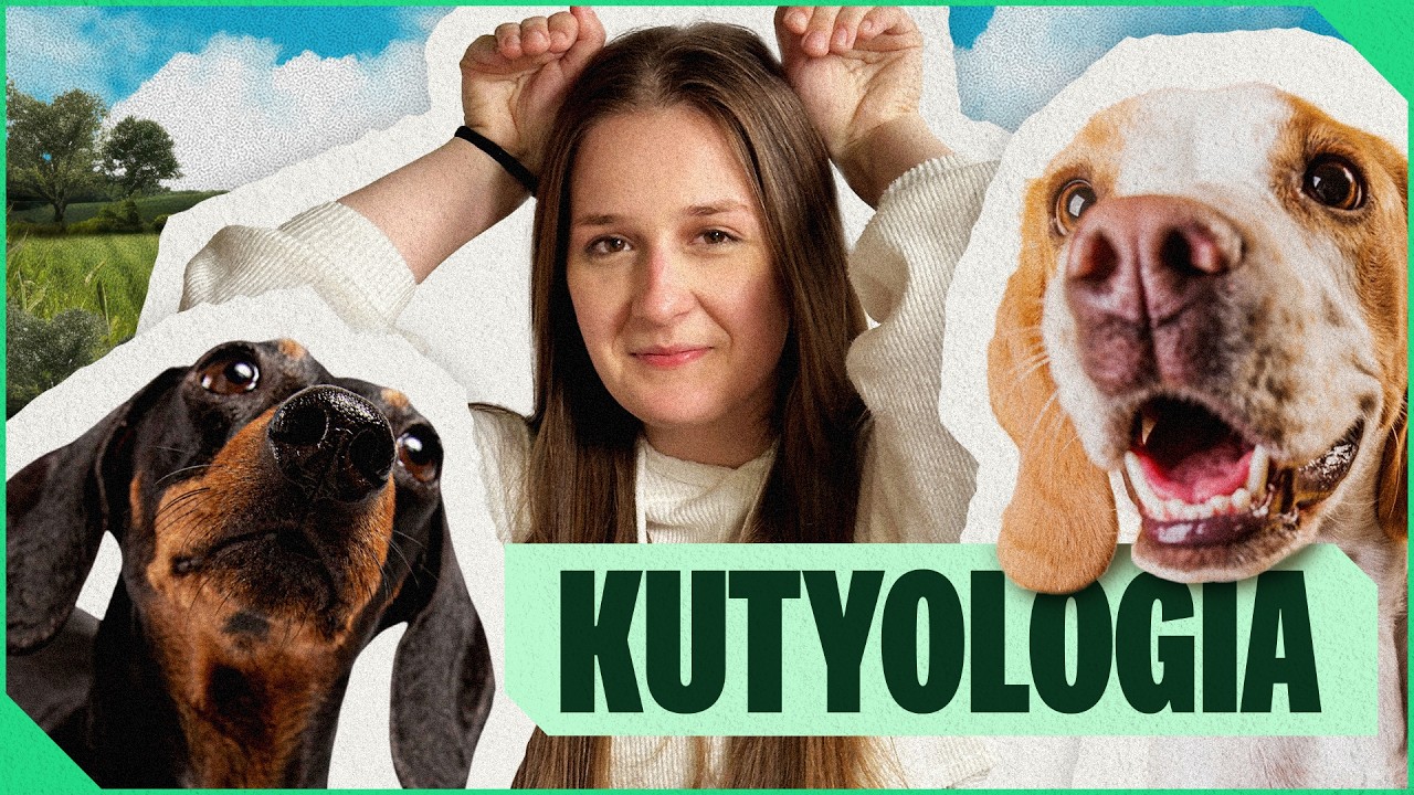 A legjobb barátunk TITKAI 🐶