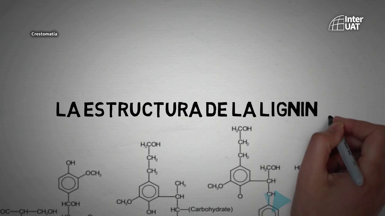 InterUAT – ¿Sabías qué es la Lignina?