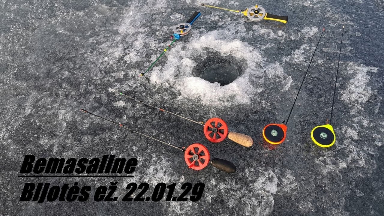 #11 Bijotės ež. Bemasalinė 22.01.29