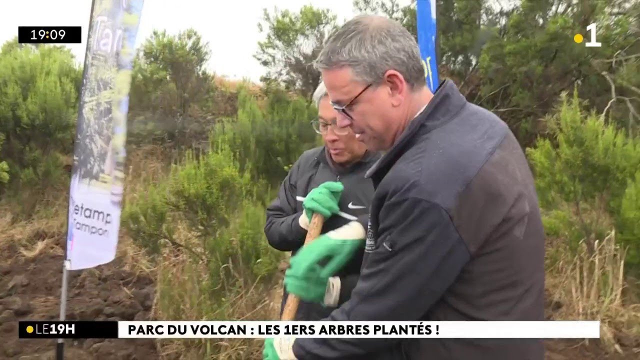 A la Plaine-des-Cafres, les travaux du Parc du Volcan ont démarré.
