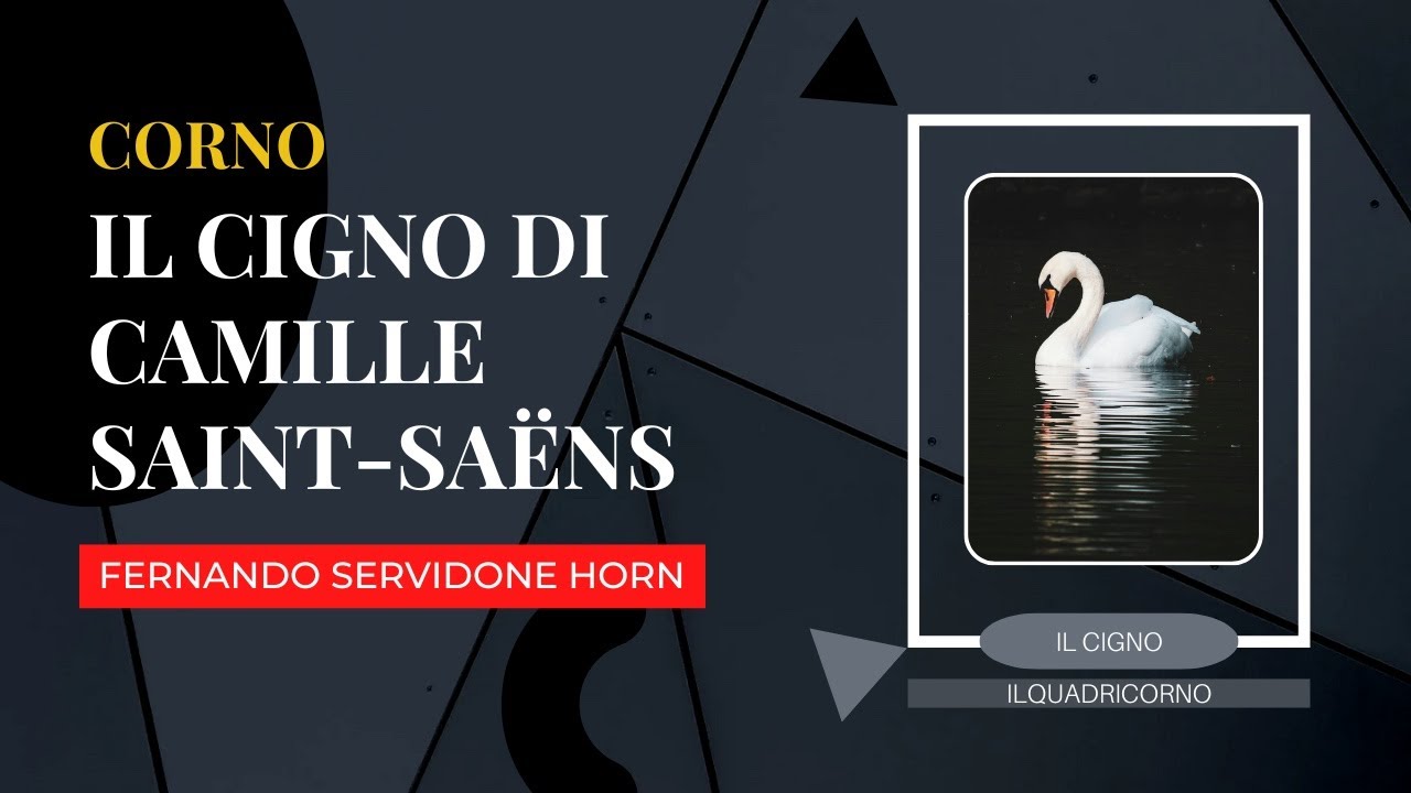 CORNO - Il Cigno di CAMILLE SAINT-SAËNS / Lezione 88