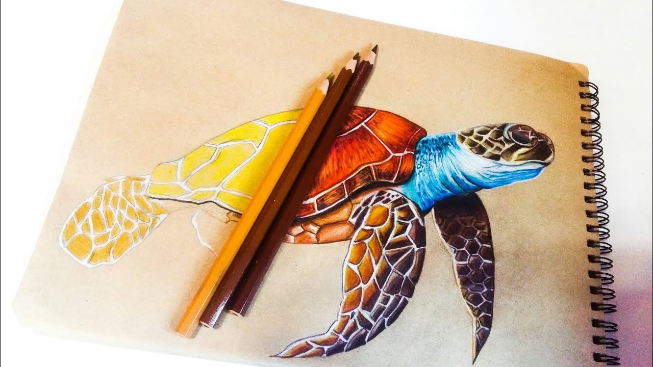 how to draw a turtle step by step| Art #11