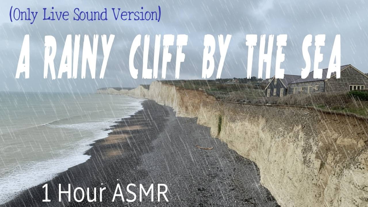 (Only Live Sound Version) 1 Hour ASMR  | A RAINY CLIFF BY THE SEA 💤 빗소리와 파도소리에 잠이 들어보세요 😴