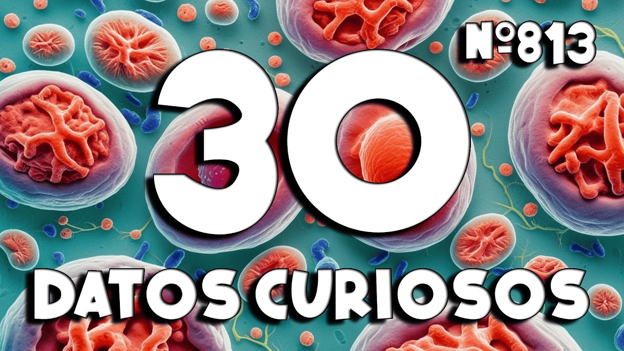 30 DATOS CURIOSOS y COSAS QUE NO SABÍAS ⏰😲 813 #curiomaníatv