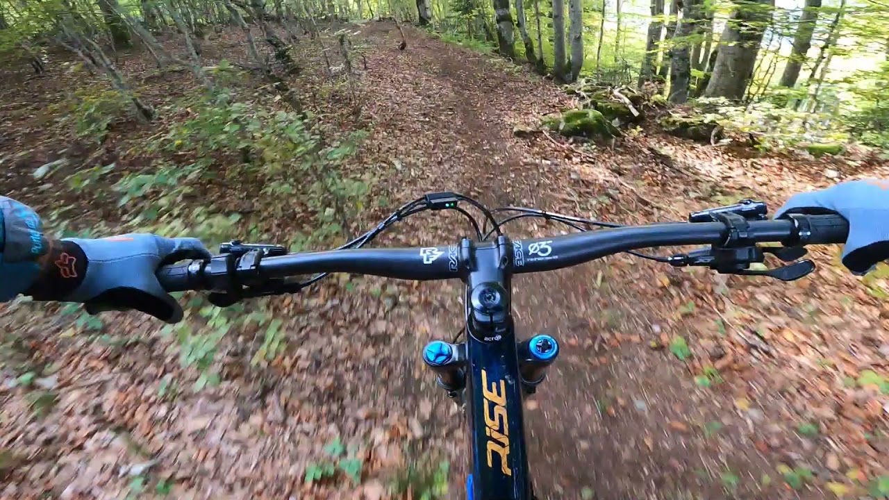 Leafy, loamy Lelex - Piste Noir