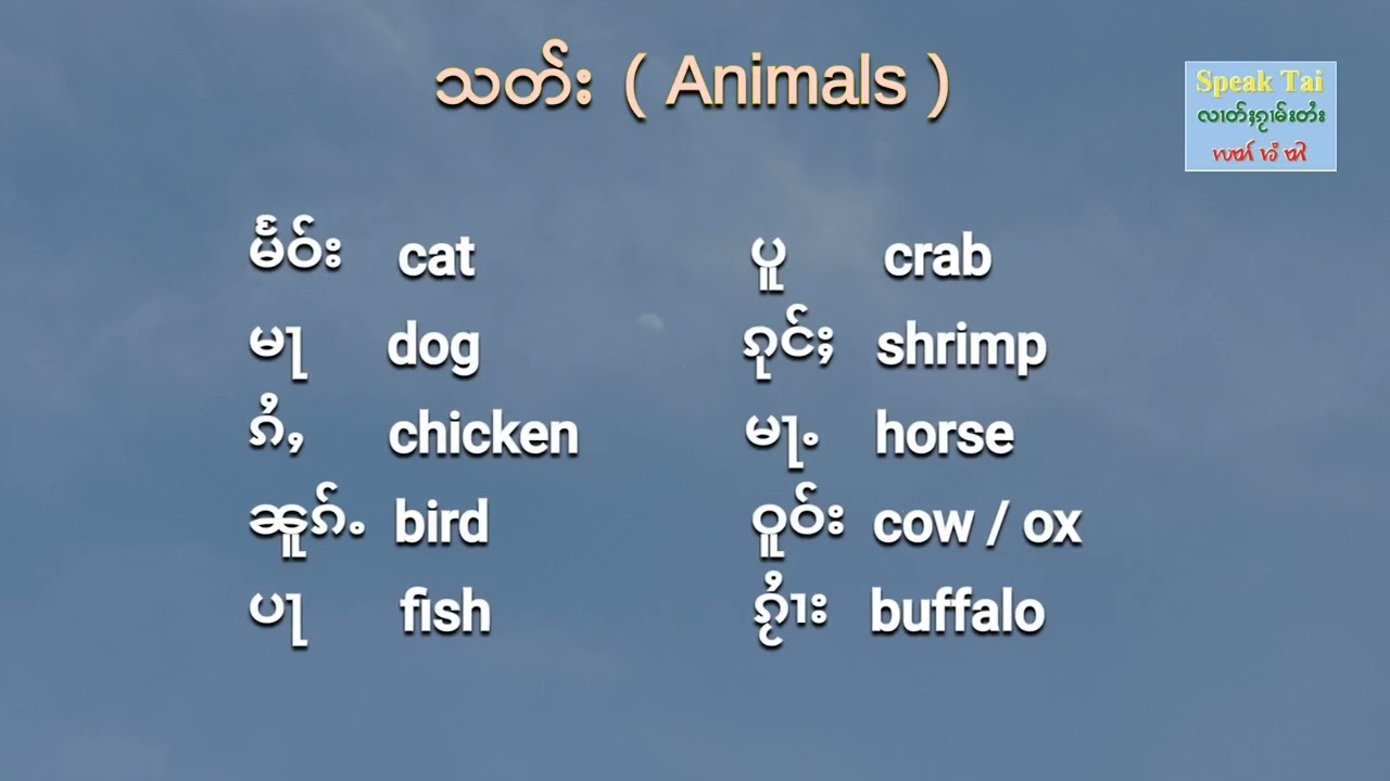 Tai Basics ep 5: Nouns, Pronouns | ႁိၵ်ႈ ၊ တၢင်ႁိၵ်ႈ
