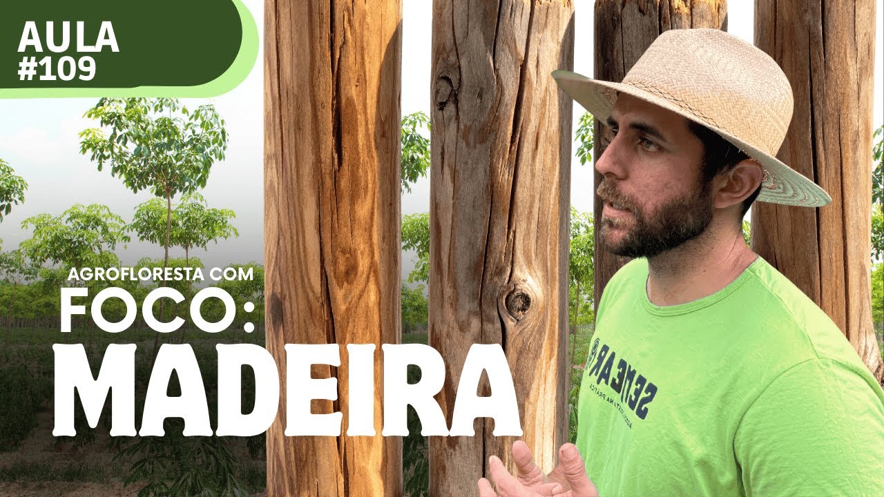 Agrofloresta com Foco na Produção de Madeira