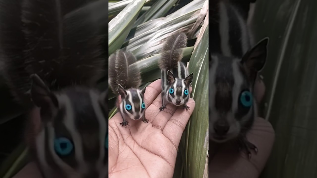 cute stripes 🥰 