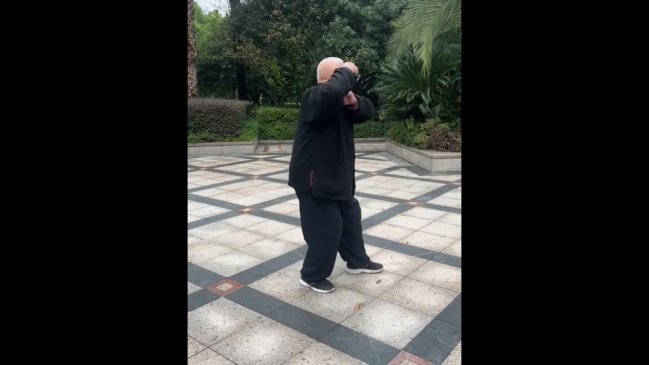 Wu-style Taijiquan small frame