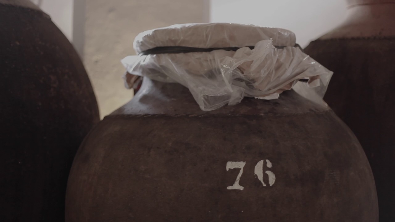Vinho de Potes - Adega José de Sousa | 2016