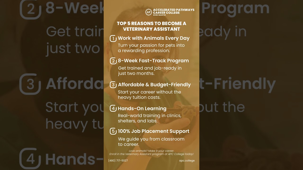 Top 5 Reasons to Become a Veterinary Assistant | Start Your Career at APC College!