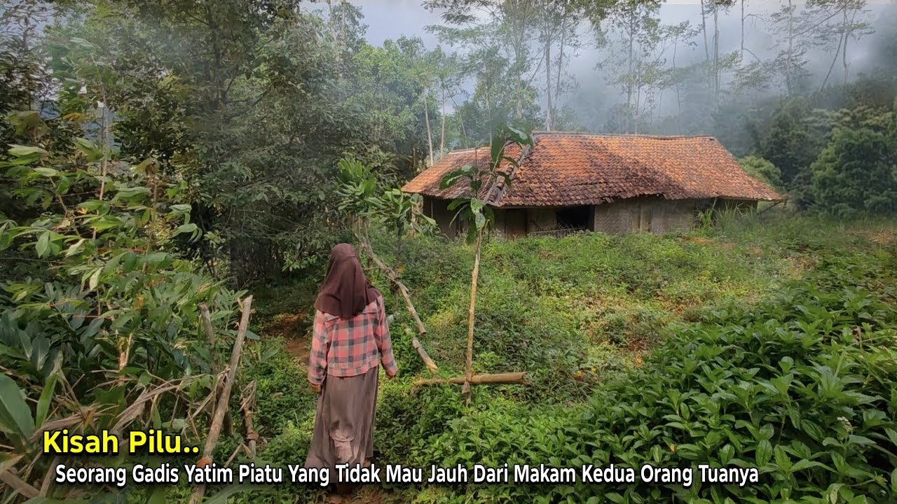 Kisah Pilu.. Seorang Gadis Tanpa Ayah & Ibu Tinggal di Hutan Berdampingan Dengan Makam Orang Tuanya
