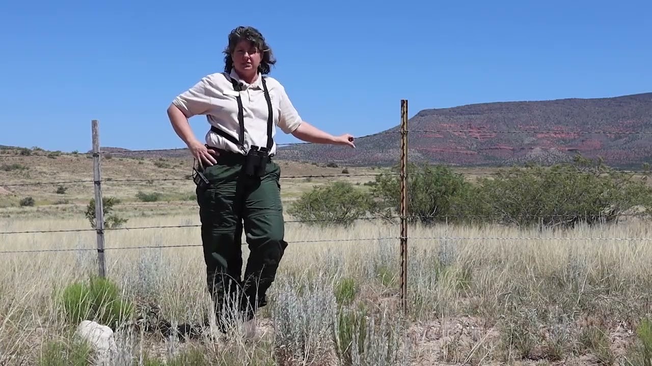 Listening to the Verde S3E12 Wildlife Corridors with Janie Agyagos
