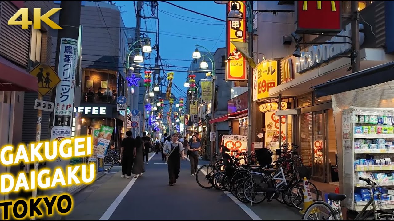 Gakugei Daigaku night walk in Tokyo, Japan · 4K