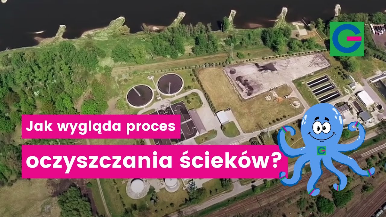 Ośmiorniczka @pwik_glogow: Jak wygląda proces oczyszczania ścieków?